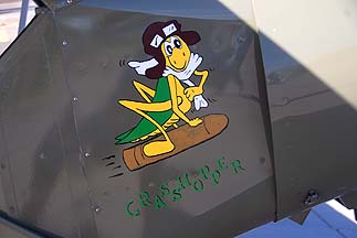 Super Cub replica P-18 N915MB Grasshopper, Coolidge Fly-in, November 6, 2010